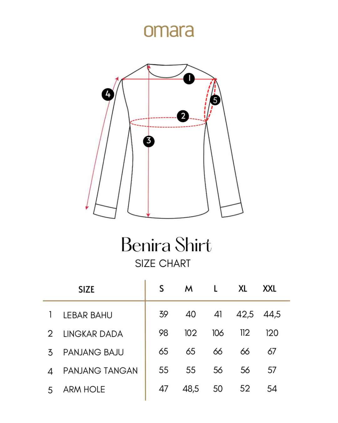Benira Pleated Asymmetric Collar Shirt