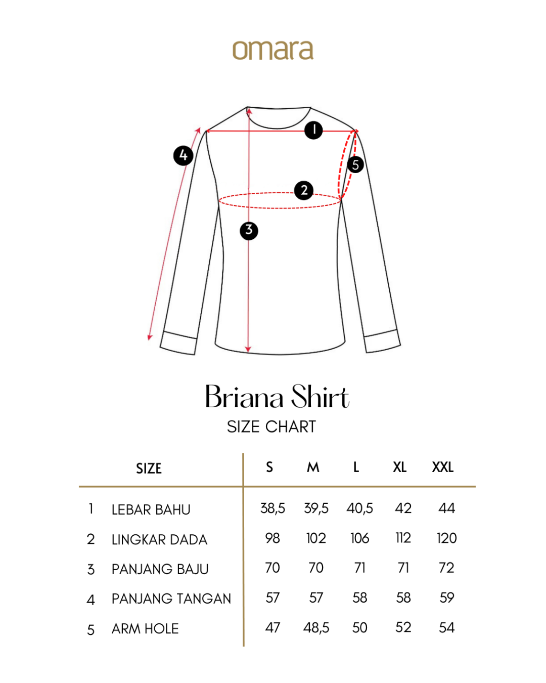 Briana Layered Stripe Shirt